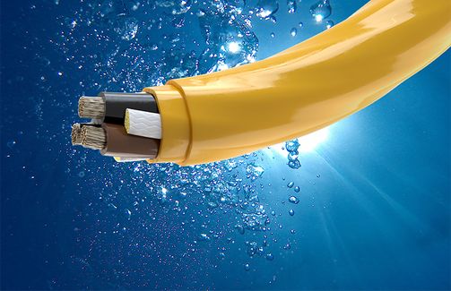 Image of dynamic cable water